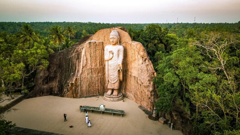 Discovering buddhism Teachings: A Journey with The Buddhist YouTube Channel